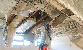 Best Mold Prevention Services  in Frenchtown, NJ